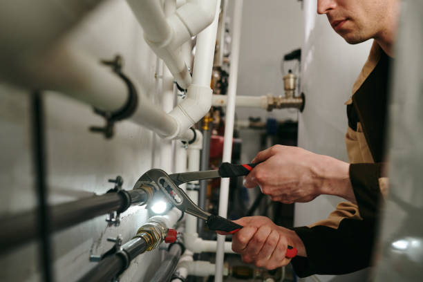 Best Local Plumber Services  in Ferguson, MO