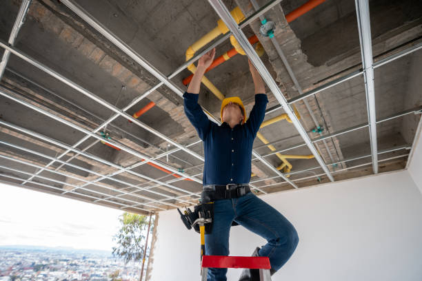 Best Leak Detection Services  in Ferguson, MO